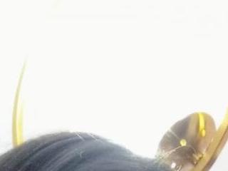 little antonela