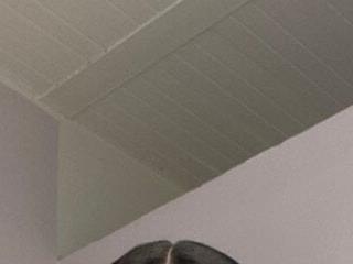 Miabloomm 