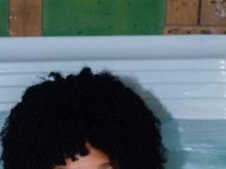 Nai webb