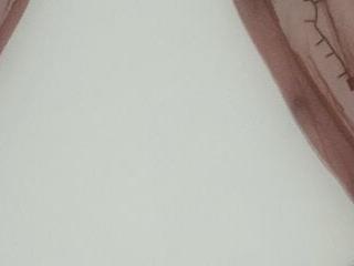 OnlyDelilah
