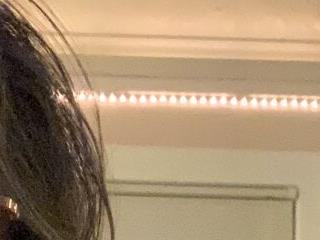 RosieDixx